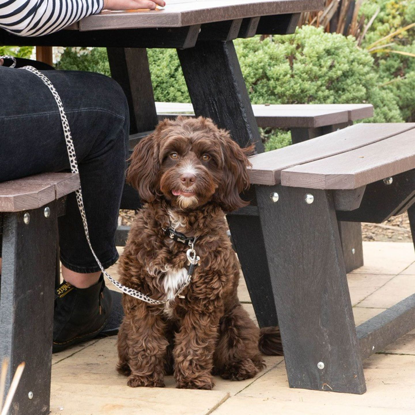 Your local dog friendly pub in Breaston